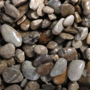 product/a/q/aqua-della_257-447611.jpg