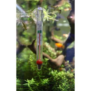 product/a/q/aquavie_av042081_blanc_4.jpg