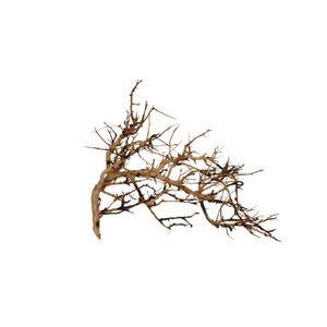 product/a/q/aquavie_av111280_marron_1.jpg