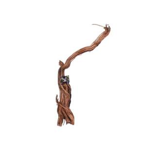 product/a/q/aquavie_av111563_marron_1.jpg