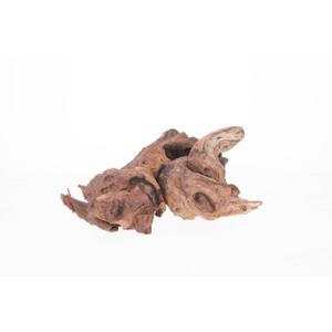 product/a/q/aquavie_av211300_marron_2.jpg