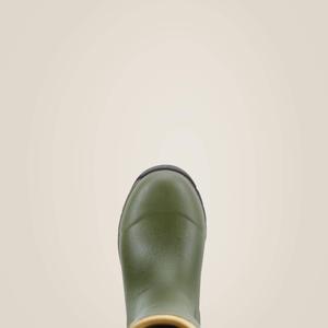 product/a/r/ariat_10018771_2.jpg