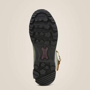 product/a/r/ariat_10018771_4.jpg