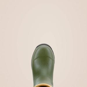 product/a/r/ariat_10018853_2.jpg
