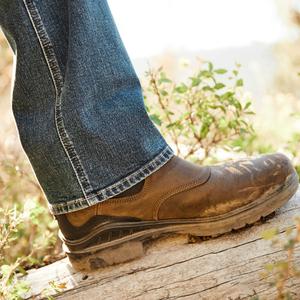 product/a/r/ariat_10033879_6.jpg