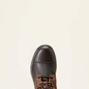 product/a/r/ariat_10047006_2.jpg