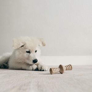 product/b/e/benebone_cy0359_4.jpg