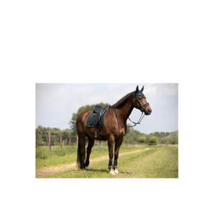 product/b/r/br-equitation_163018-g055-850_green-gables-green_3.jpg