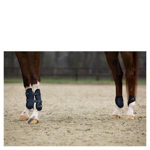 product/b/r/br-equitation_296139-l0018-50_navy_4.jpg