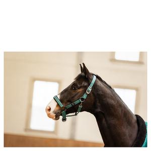 product/b/r/br-equitation_432331-g1068-40_sea-spine_2.jpg