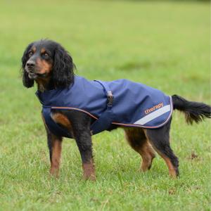 product/b/u/bucas_28930-51_navy-orange_1.jpg
