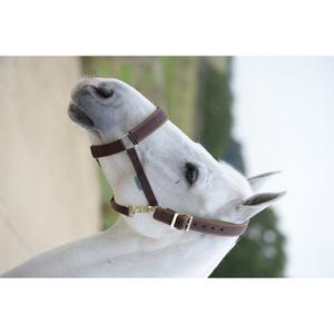 40150-06-licol-pour-cheval-bucas-comfort-brown-brown