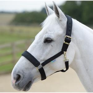40150-36-licol-pour-cheval-bucas-comfort-black-black
