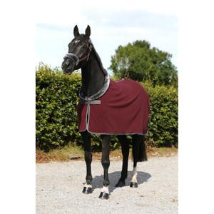 product/b/u/bucas_46025-54_burgundy_1.jpg