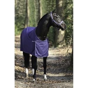 59255-62-couverture-d-exterieur-pour-cheval-bucas-panel-prize-cooler-155g-navy-silver-155-cm