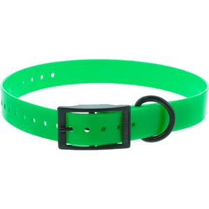 product/c/a/canihunt_c121904_vert_1.jpg