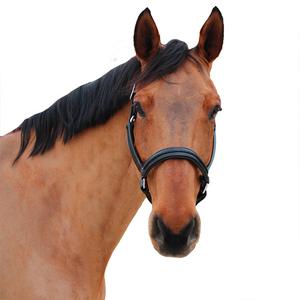 product/c/a/canter_119517-marron_marine_marron-marine_1.jpg