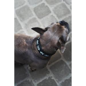 product/c/a/catago-800672501-black-4.jpg