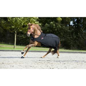 product/c/a/catago_48272001_2.jpg