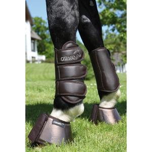 product/c/a/catago_48582002_2.jpg