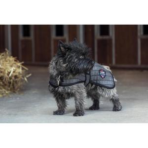 product/c/a/catago_49024518_grey_2.jpg