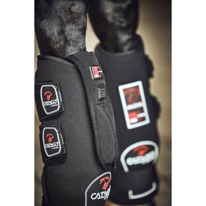product/c/a/catago_57010001_3.jpg