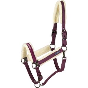 product/c/a/catago_800152077_plum-perfect_1.jpg