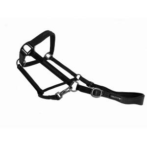 product/c/a/cavaletti_cal04o.jpg