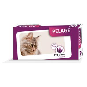 7224429-complement-alimentaire-pour-chat-pelage-ceva-pet-phos-violet-200-mg