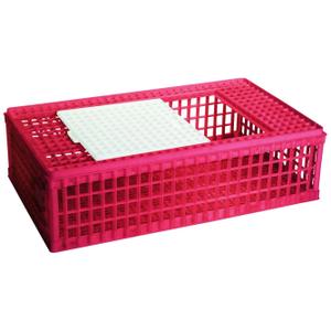 product/c/h/chick-a_590020_rose_1.jpg