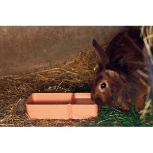product/c/h/chick-a_710010_orange_3.jpg