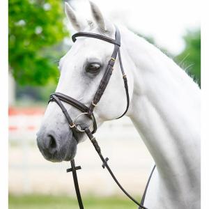 1426999-04-tetiere-muserolle-croisee-daslo-marron