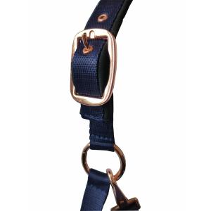 2011299-09-set-longe-licol-daslo-gold-bleu