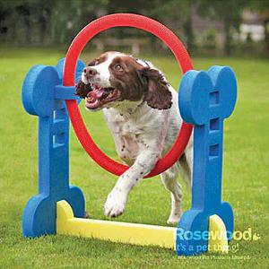 943007-jeu-de-strategie-pour-chien-pneu-agility-difac-rouge-68x32x70-cm