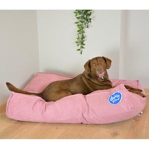 product/d/u/duvoplus_14781_1.jpg