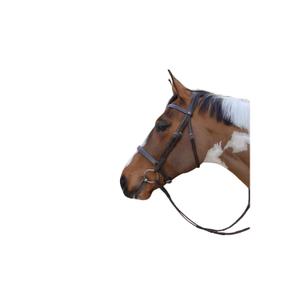 product/d/y/dy-on_woadakbrc_brun_1.jpg