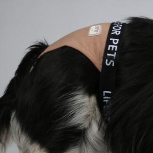 product/e/b/ebi_388-474334_2.jpg