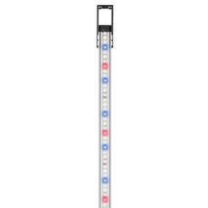 product/e/h/eheim_eh4264021_transparent_3.jpg