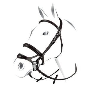 product/e/q/equestro_br00695-black_black_1.jpg