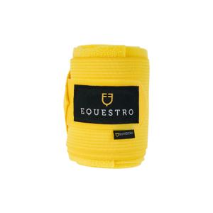 product/e/q/equestro_eth07000-yellow_yellow_2.jpg