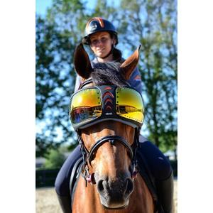 evysor4-lunettes-cheval-equick-evysor-orange-tu