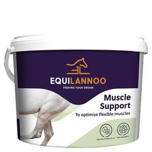 product/e/q/equilannoo_722021-m000-000_blanc_1.jpg