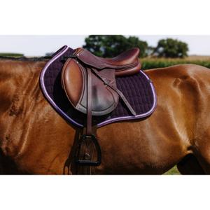 product/e/q/equitheme_204008015_violet_2.jpg