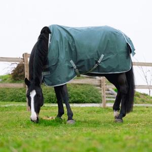 product/e/q/equitheme_4007720_mag4449173_1.jpg