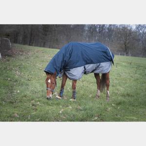 product/e/q/equitheme_4009187_mag4449051_2.jpg