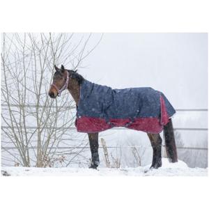 product/e/q/equitheme_4009334_mag4448835_1.jpg