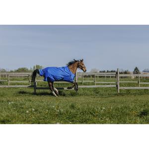 product/e/q/equitheme_400939449_bleu-roi_1.jpg
