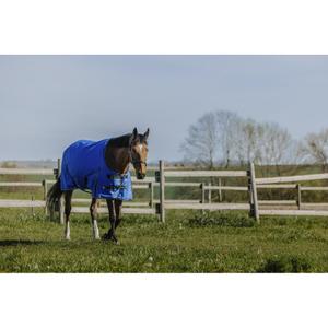 product/e/q/equitheme_400939449_bleu-roi_2.jpg