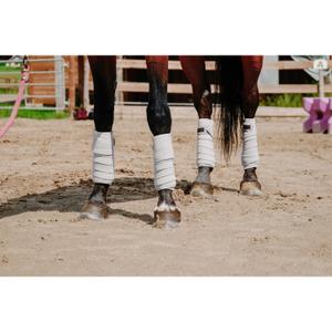 product/e/q/equitheme_540068001_blanc_2.jpg