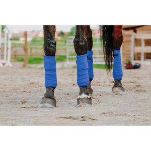 product/e/q/equitheme_540068006_bleu-roi_2.jpg